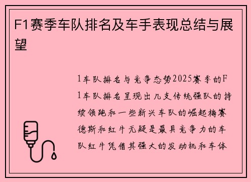 F1赛季车队排名及车手表现总结与展望
